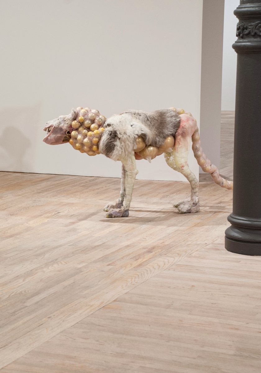 Monica Cook – mixed media sculptures – Unice / 2013