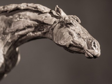 Stephanie Revennaugh – sculpture horse