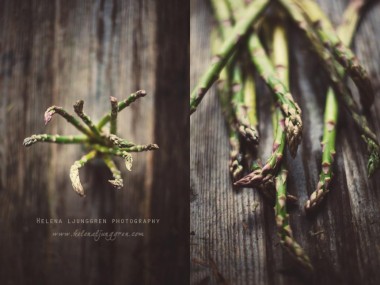 helena ljunggren – asperges / Creativ food photography