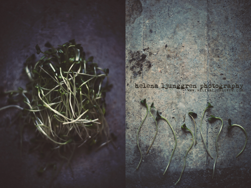 helena ljunggren – cresson / Creativ food photography