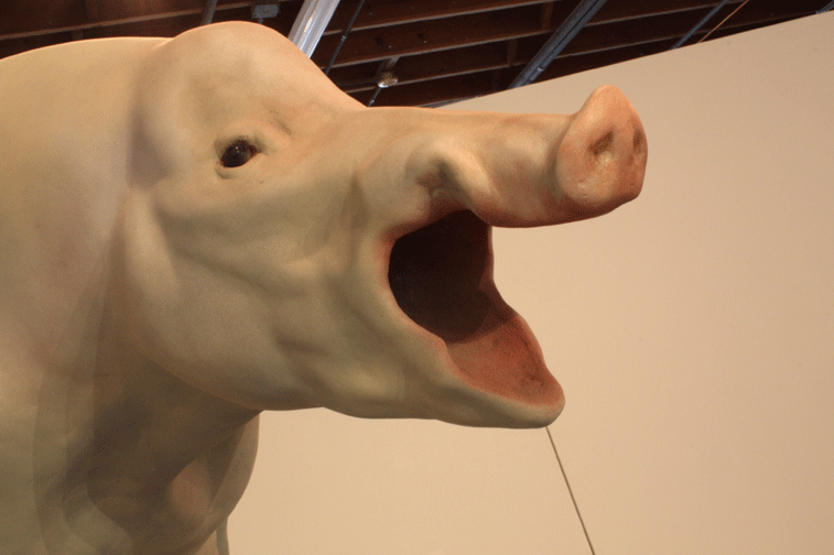 Leah Brown – Pigman – head / Sculpture hyper-realiste