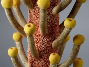 Leigh Taylor Mickelson – Botanical sculptures
