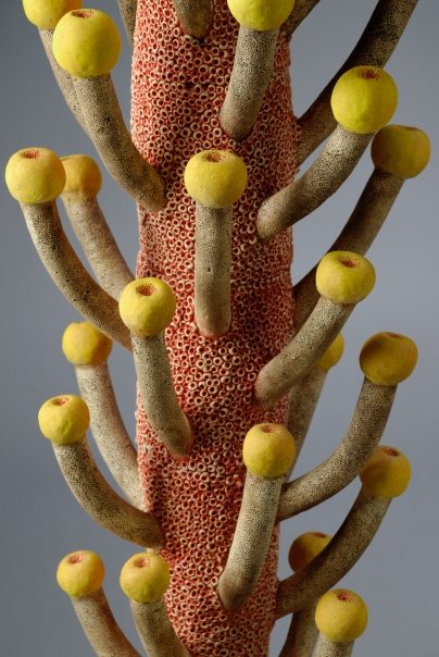 Leigh Taylor Mickelson – Botanical sculptures