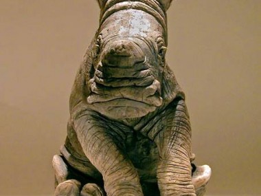 Nick Mackman – Rhino baby sculpture