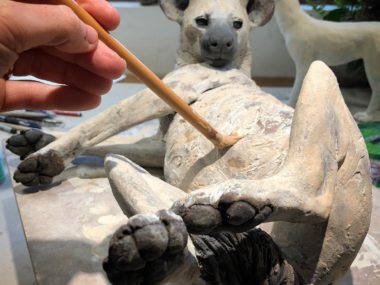 Nick Mackman sculpture – Glazing the Hyena sculpture