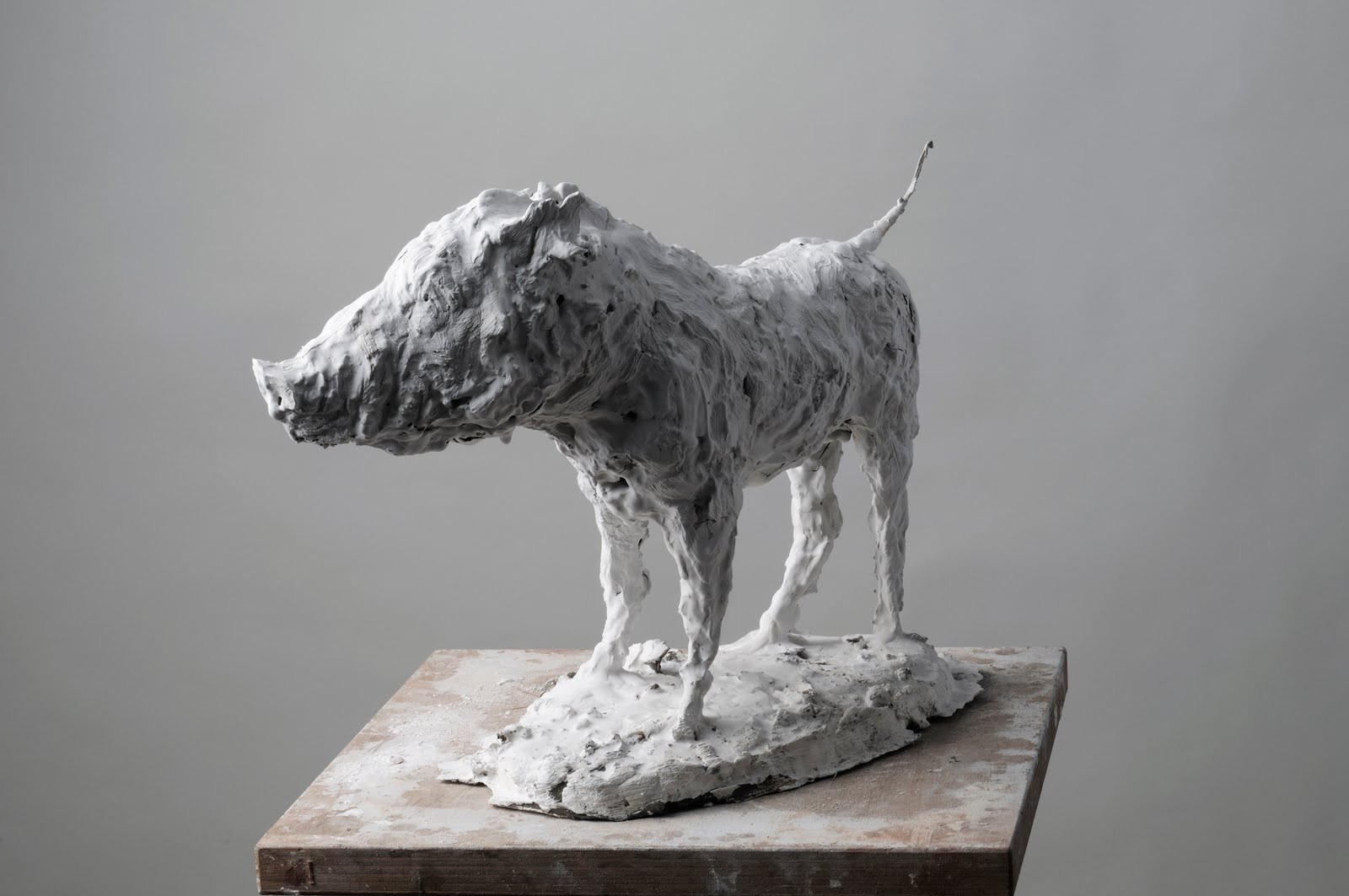 Nicola Hicks – Boar sculptures