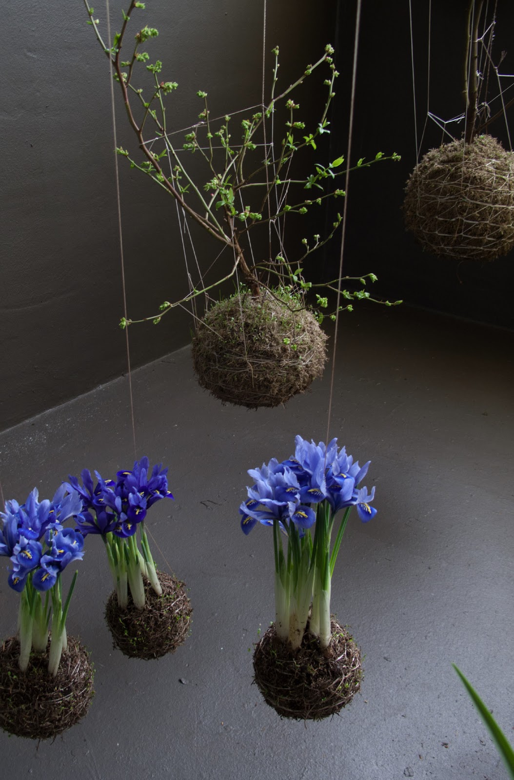 Fedor van der Valk  – hanging planters – string garden