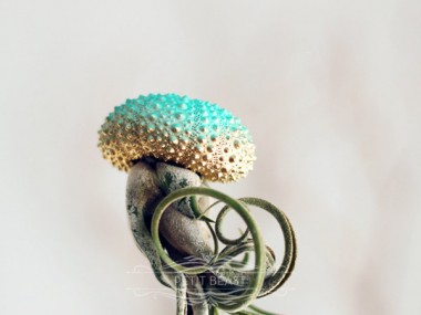 Jelly fish air plant – Petitbeast – etsy shop