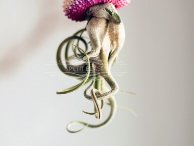 Jelly fish air plant – Petitbeast – etsy shop