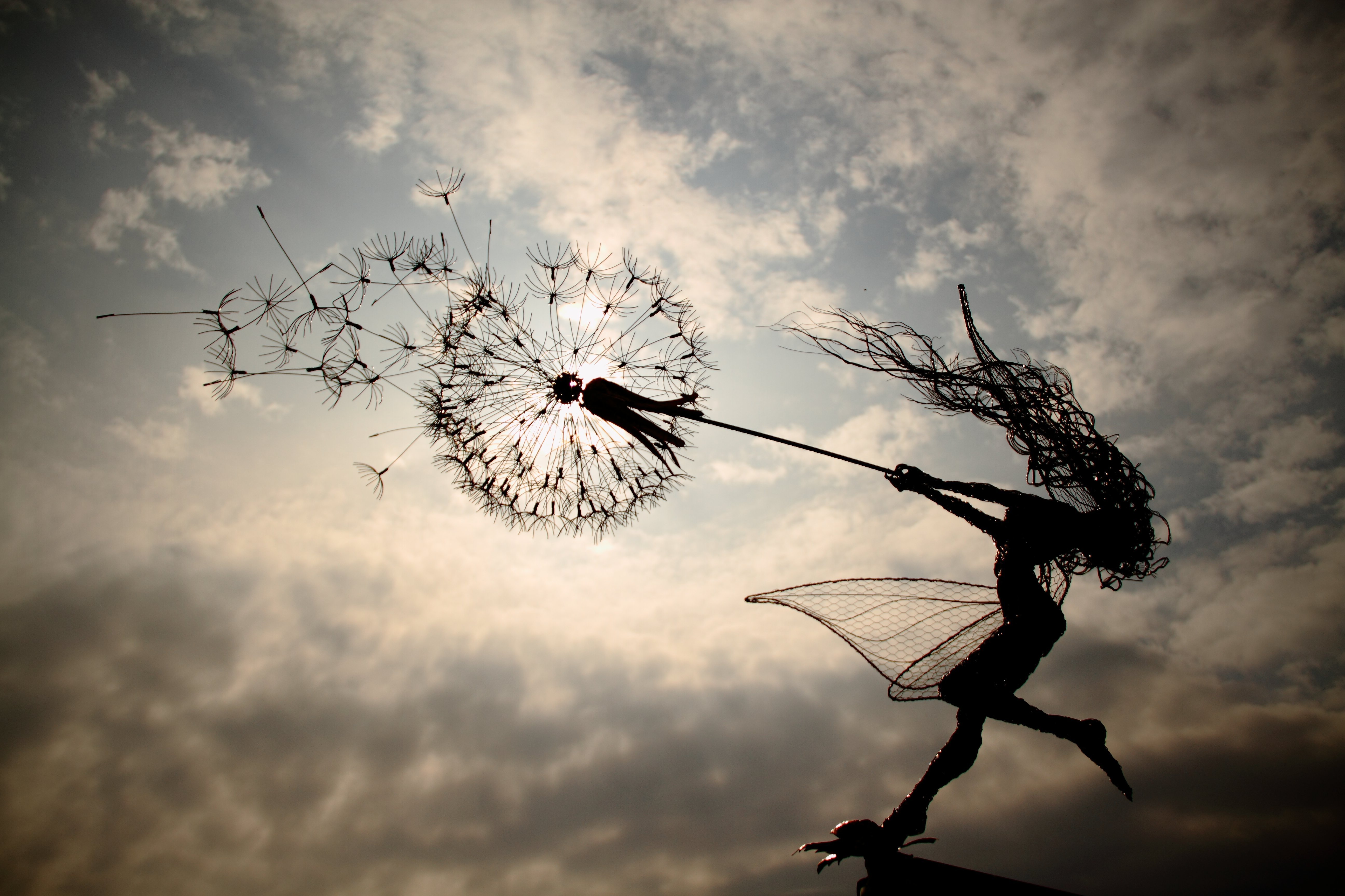 Robin Wight – fil de fer sculptures pissenlit