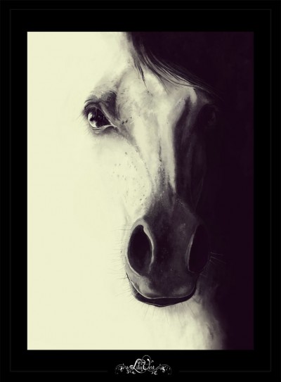 Digital horse illustration ©lilavert