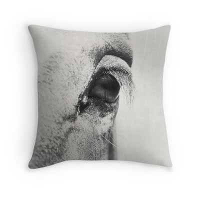 Eye horse Photo – coussin / Tee-shirt / Duvet / Poster, Art print