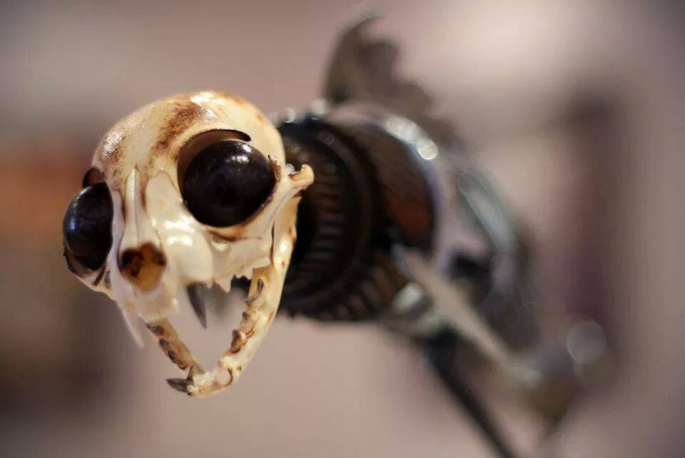 Brett Mcdanel – Catfish – sculptures steampunk