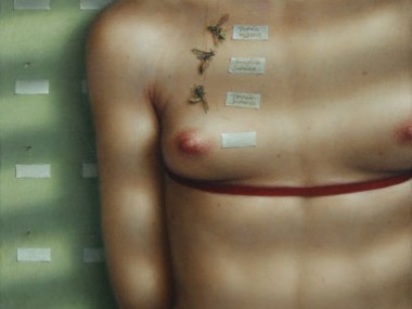 Dino Valls – VESPIDAE