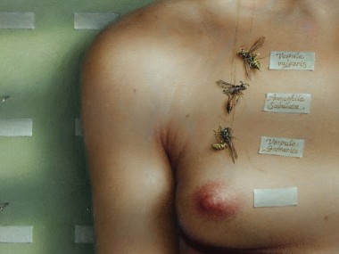 Dino Valls – VESPIDAE-detail