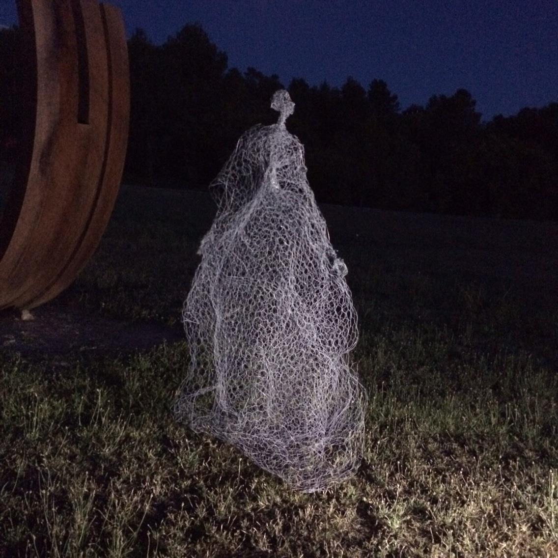 Magic Wire mesh sculpture by Pauline Ohrel