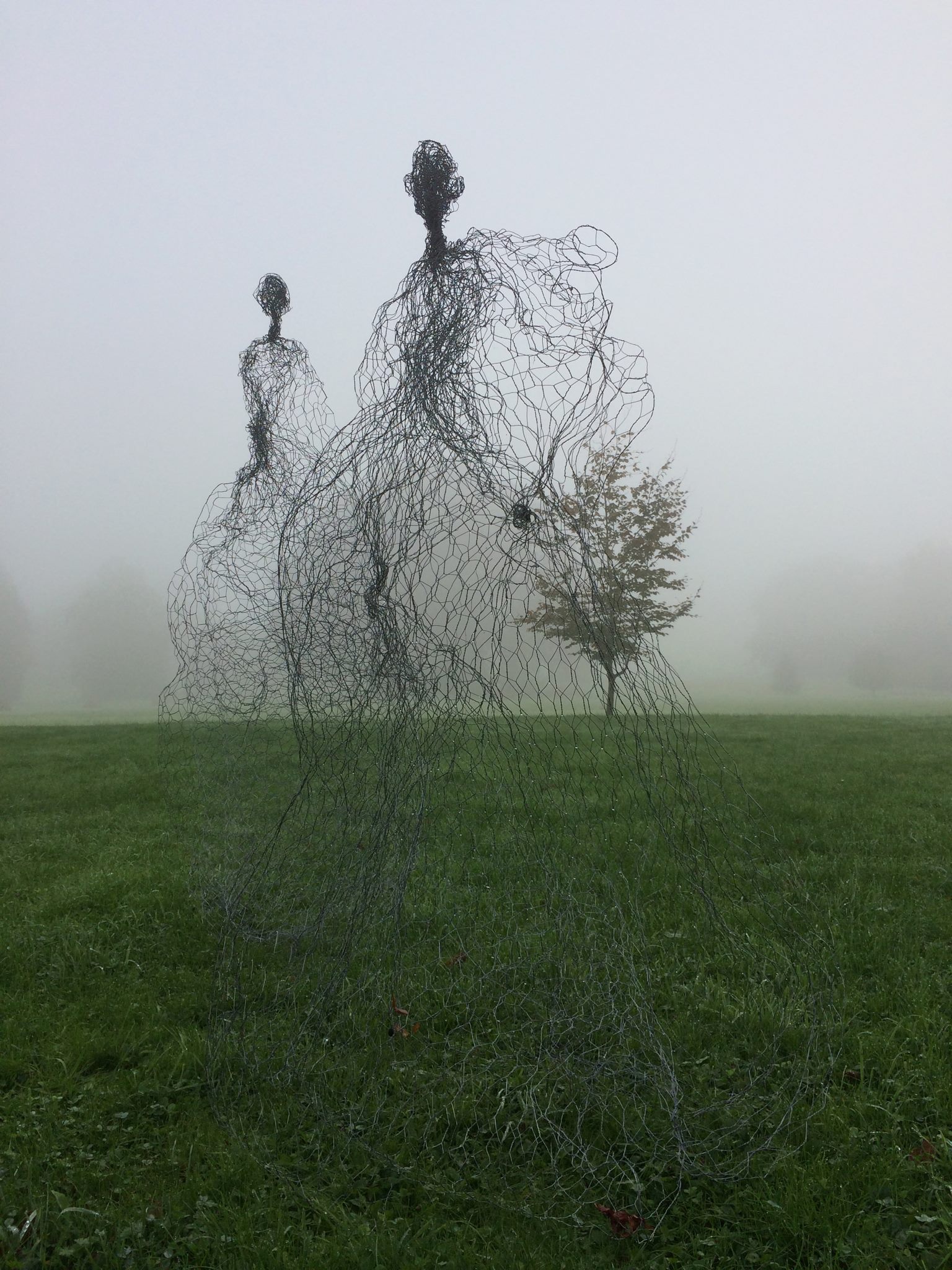 Magic Wire mesh sculptures by Pauline Ohrel