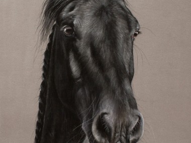 Marion Tubiana – Horse Pastels frison