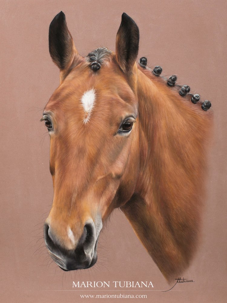 Marion Tubiana – Horse Pastels