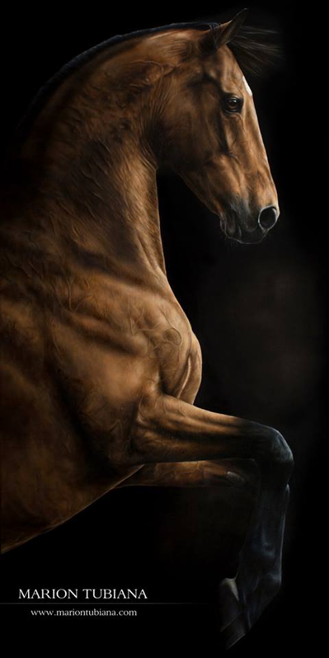 Marion Tubiana – Pastels horse