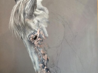 Tubiana Marion – Pastels et photographies / pastel equin in progress