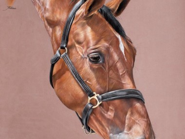 Tubiana Marion – Magnifiques Pastels cheval