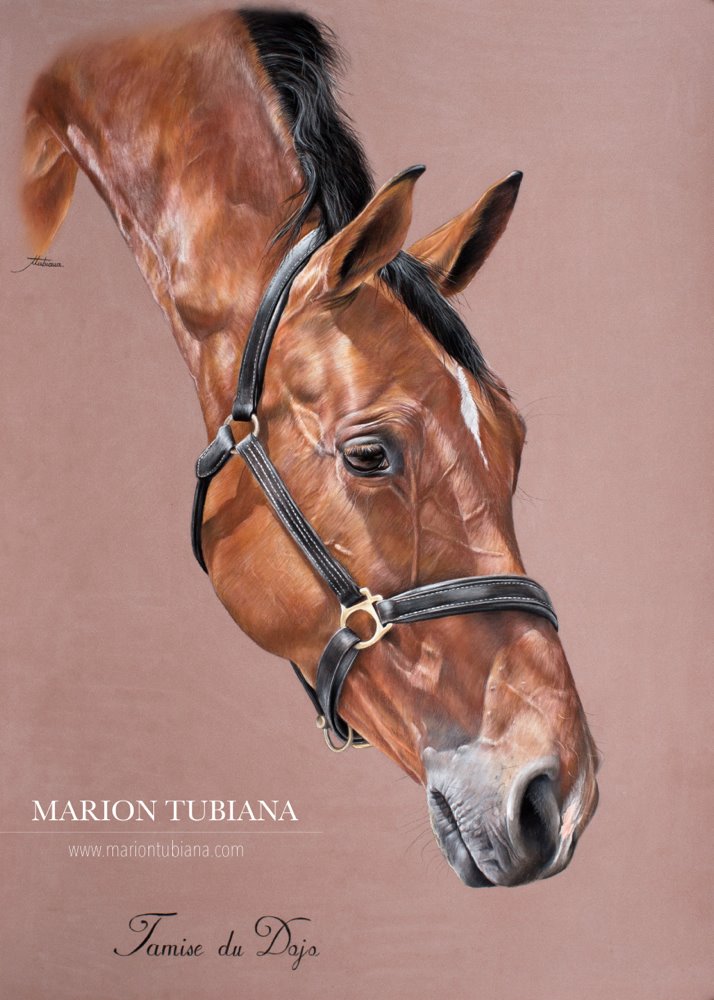 Tubiana Marion – Magnifiques Pastels cheval