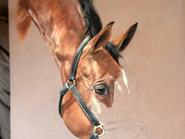 Tubiana Marion – Pastels cheval in progress