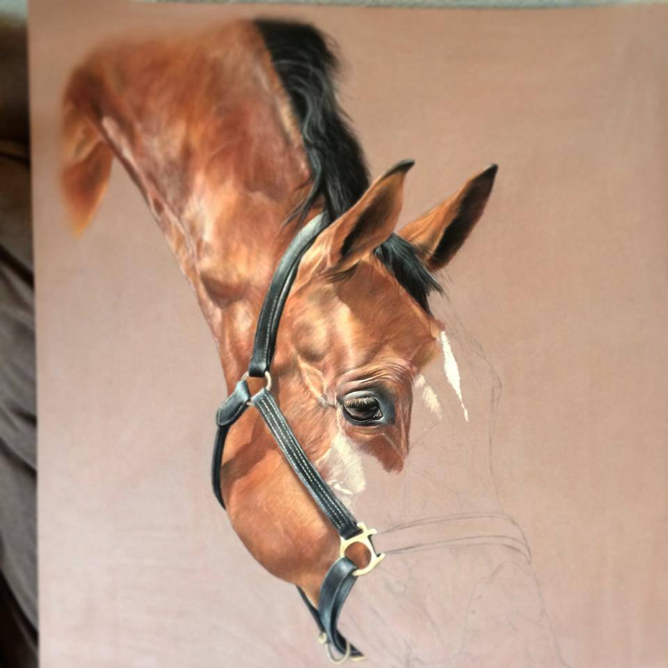 Tubiana Marion – Pastels cheval in progress