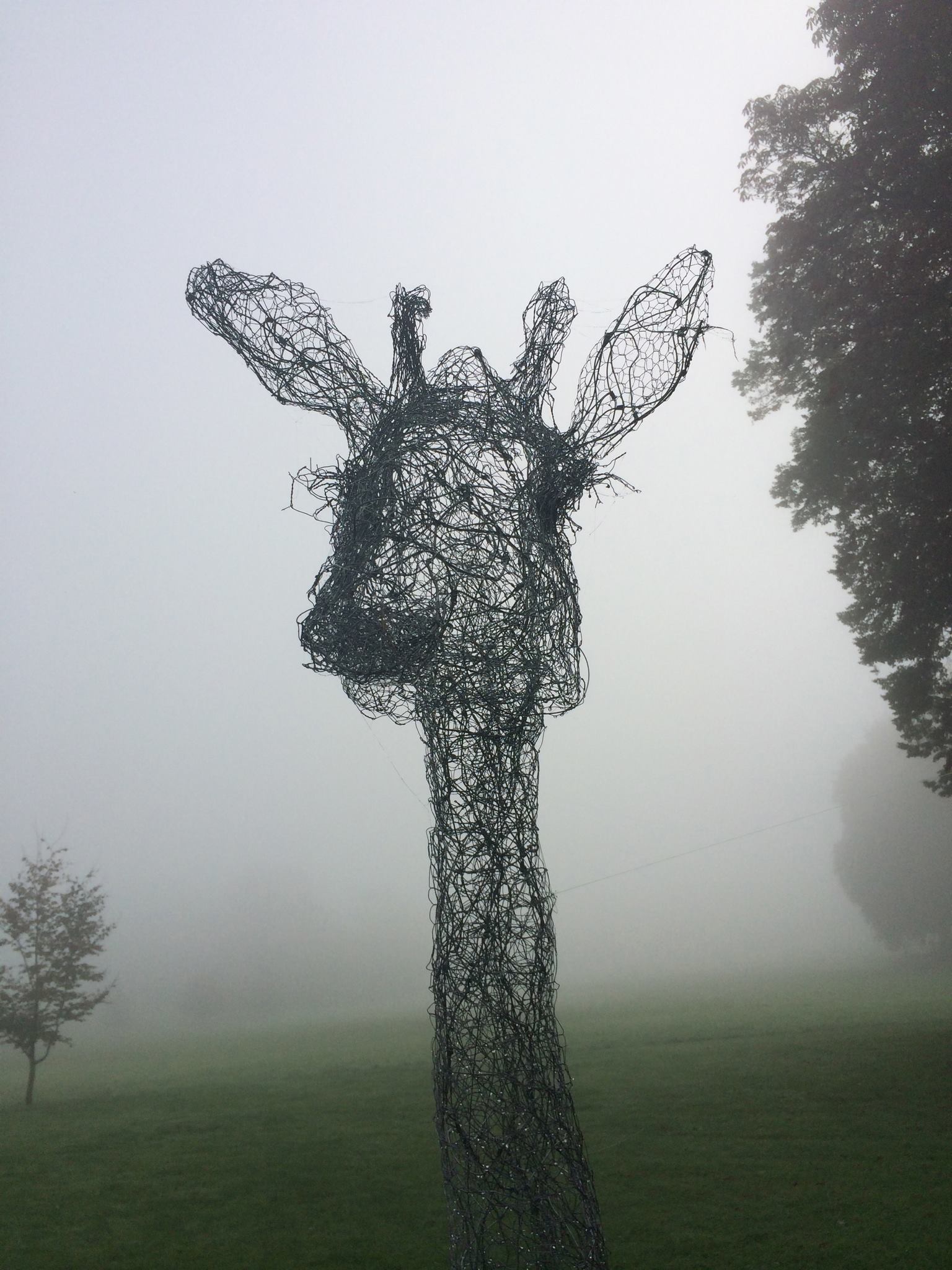 fil de fer sculptures by Pauline Ohrel – Giraffe