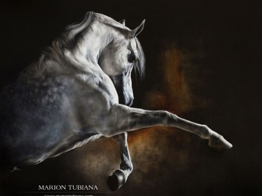 Marion Tubiana – Huile sur toile – Cheval