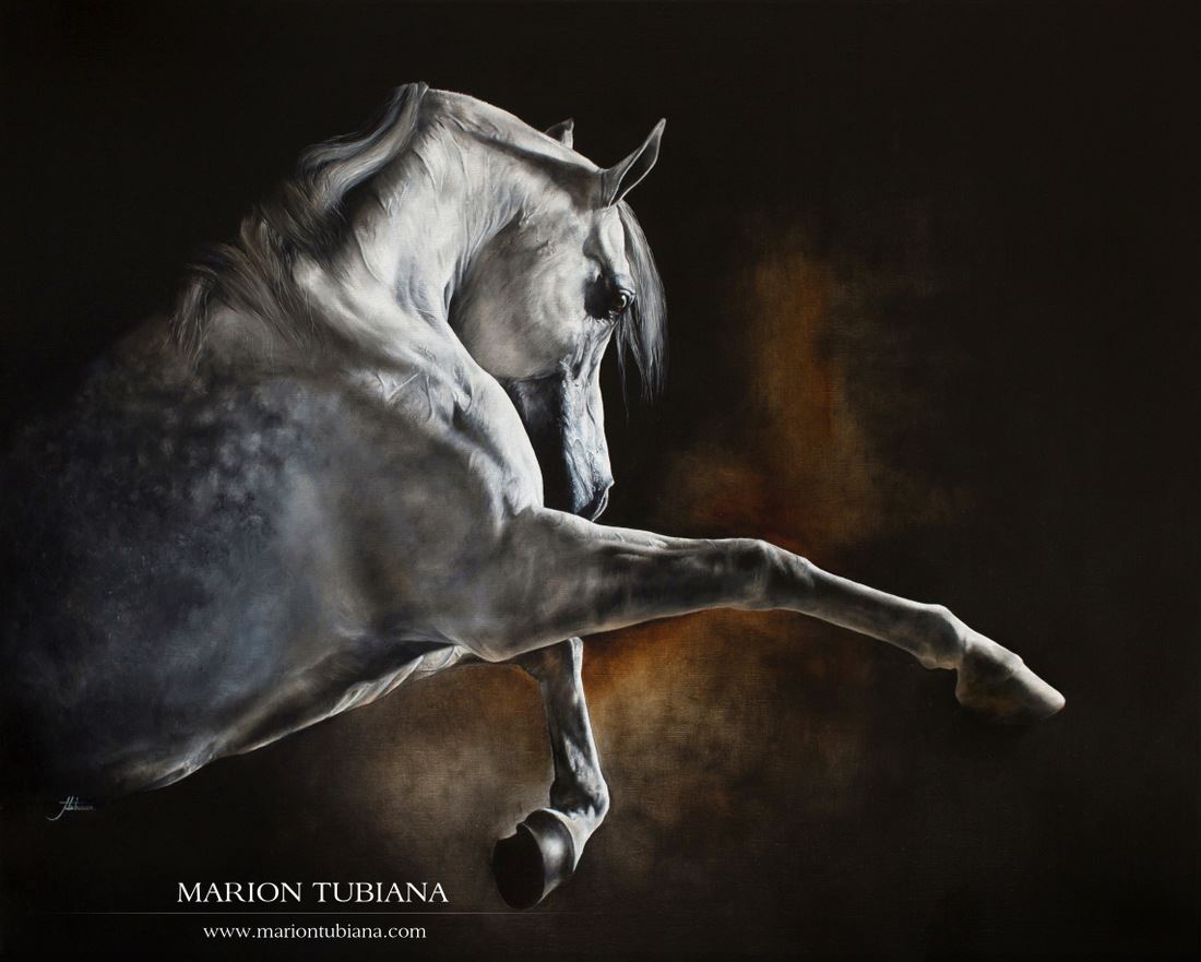 Marion Tubiana – Huile sur toile – Cheval