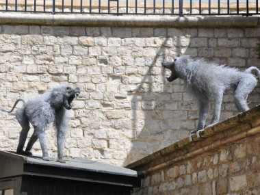 Kendra Haste – Baboons – Sculptures grillage / Galvanised wire