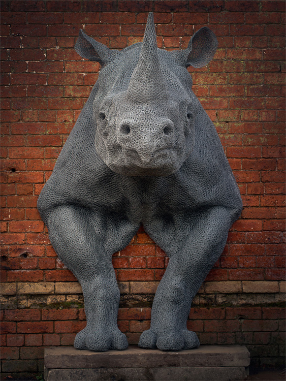 Kendra Haste – RHINOCEROS – Steel armature & painted galvanised wire