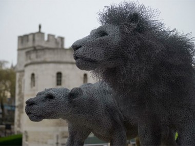 Kendra Haste – lion – sculpture fil de fer – grillages / Galvanised wire