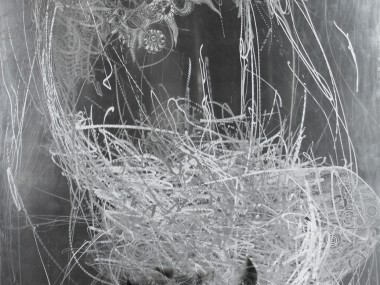 Marie-josee Roy – Junon, 60×42, photo transfert sur aluminium meulé, gravure au burin- Jerome Prieur