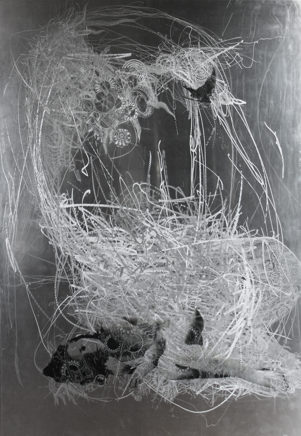 Marie-josee Roy – Junon, 60×42, photo transfert sur aluminium meulé, gravure au burin- Jerome Prieur