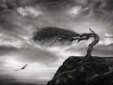 Sherry Akrami – Digitale manipulation