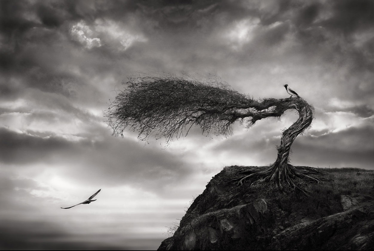 Sherry Akrami – Digitale manipulation