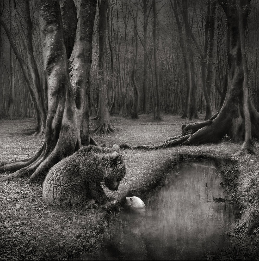 Sherry Akrami – Digitale manipulation