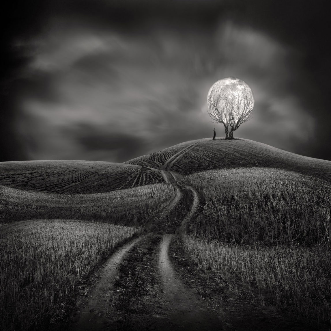 Sherry Akrami – Illuminate my Heart – Digitale manipulation