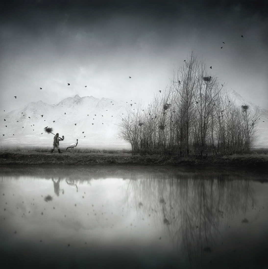 Sherry Akrami – Nest Builder – Digitale manipulation