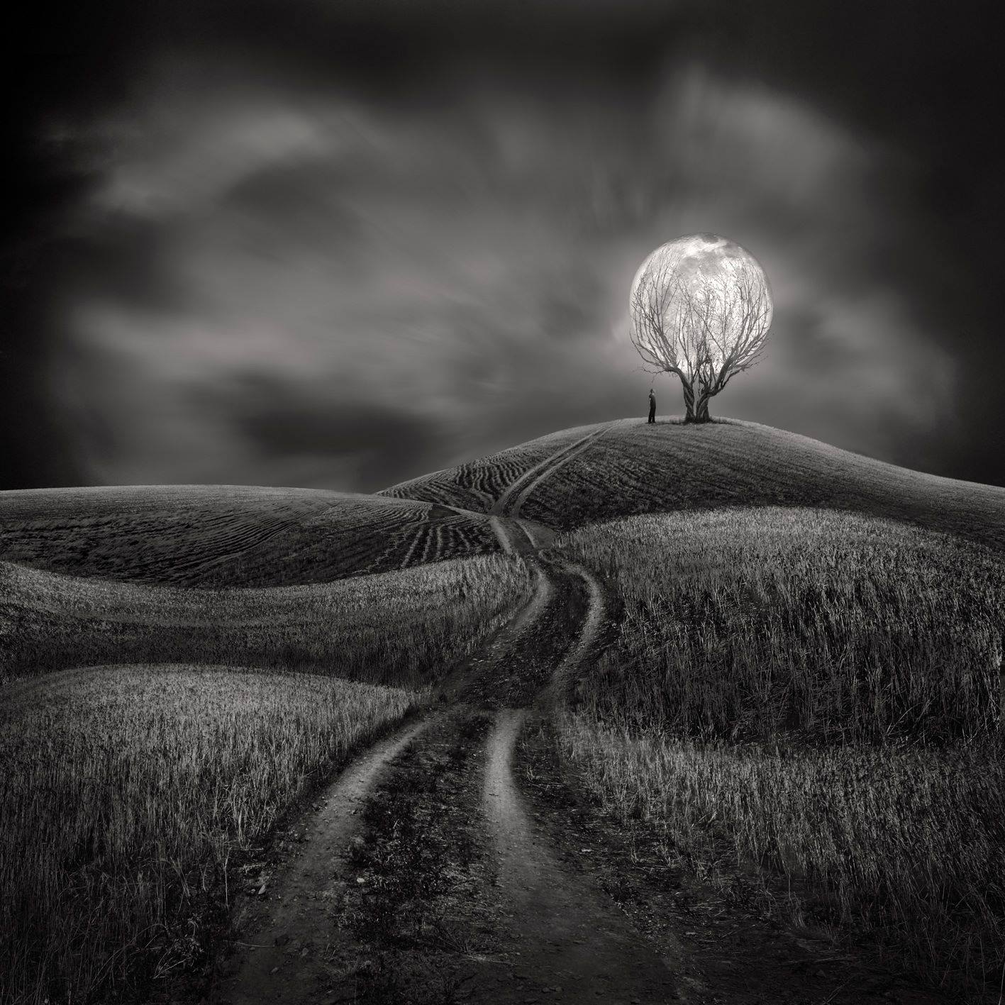 Sherry Akrami – digitale Art photo manipulation