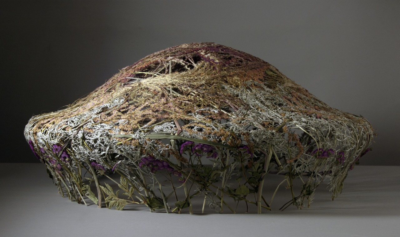 Ignacio Canales Aracil – art of flower sculptures5