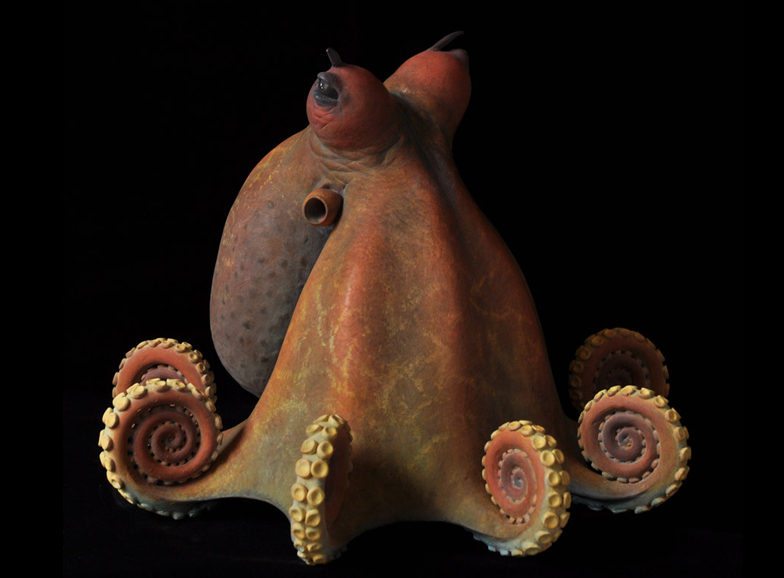 Judy Fox – Octopus2