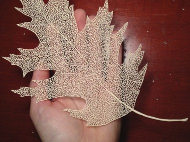 Paper carving artist – Maud White