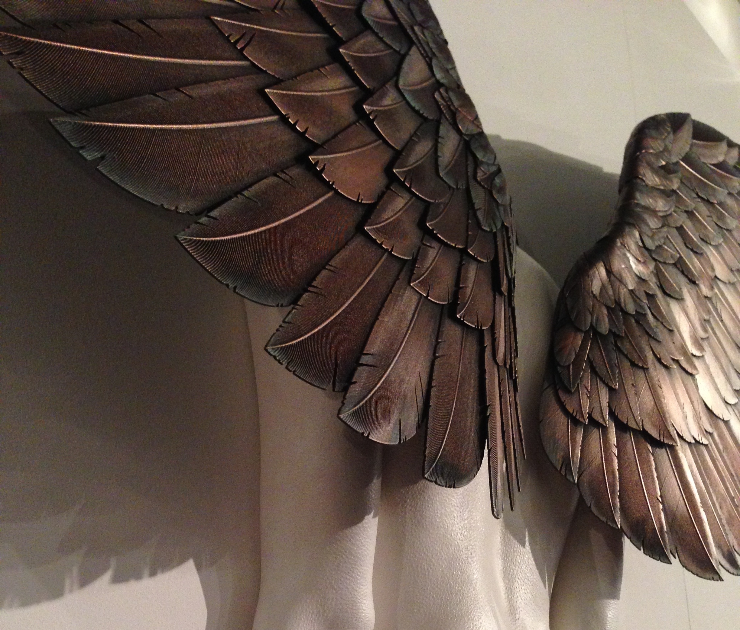 3D Print show – Icarus had a sister feathers