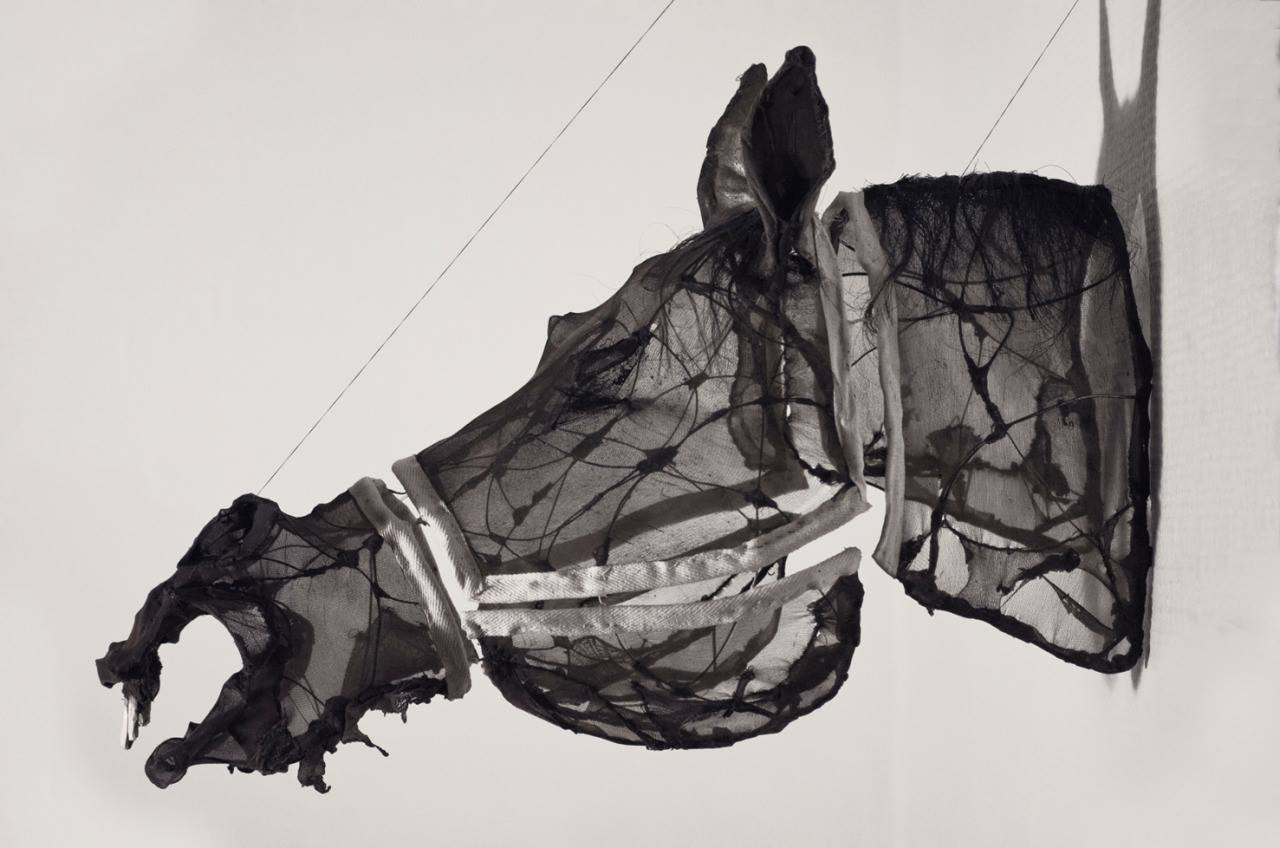 Eglantine Bacro – mixed-media artist – Nylon wire sculptures horse
