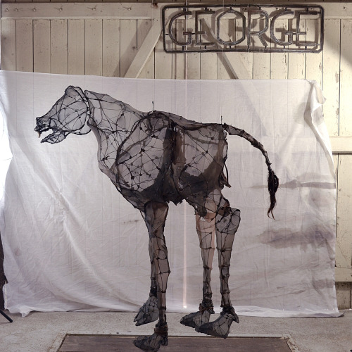 Eglantine Bacro – mixed-media artist – Nylon wire sculptures