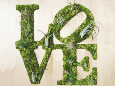 LOVE Plant Art